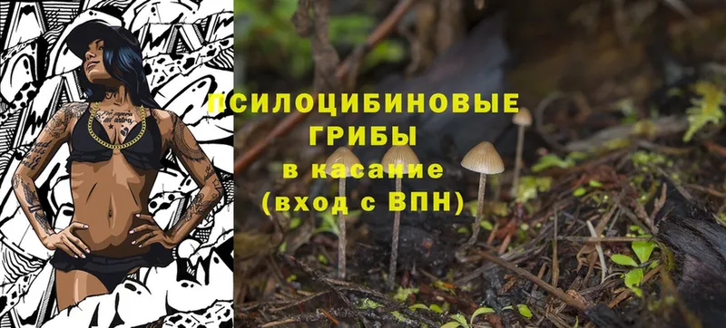 Псилоцибиновые грибы MAGIC MUSHROOMS  купить   Светлоград 